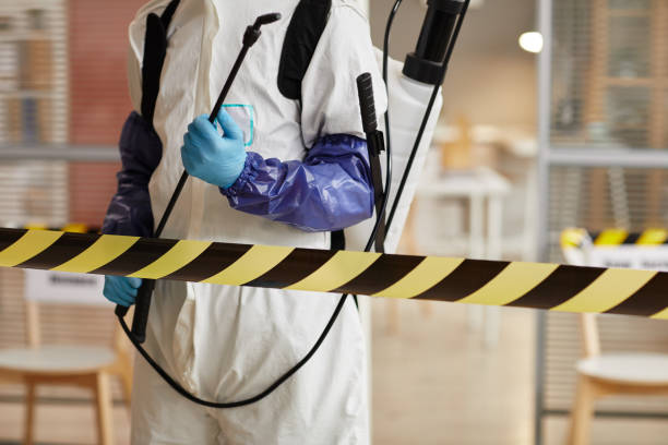 Professional Sewage Cleanup technician working in Buena, WA